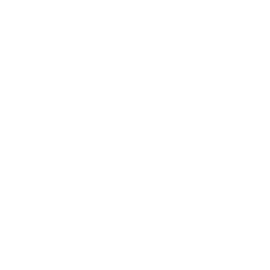 Berlin International University of Applied Science Logo
